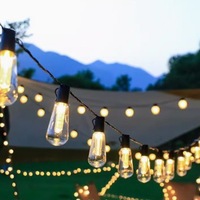 Guirlandes lumineuses solaires LED transfrontalières en forme de papaye, étanches, avec télécommande, indice IP65, pour le camping et l'ambiance extérieure