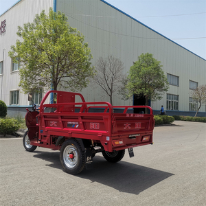 Motocicleta de Tres <span class=keywords><strong>Ruedas</strong></span> a Gasolina de 125cc/150cc, Tipo Abierto, para Adultos, con Capacidad de Carga de 1.6m, Accionamiento Eléctrico, Precio Competitivo - Product Image 5