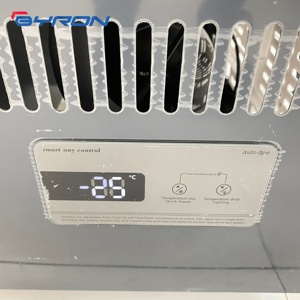 Congelador Horizontal Comercial de Ahorro Energético para Hipermercados, Exhibidor de Pescado Congelado y Almacenamiento de Hielo, con Temperatura Ajustable - Product Image 6