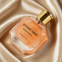 Perfumes de Marca Privada de Lujo y Larga Duración para Hombres y Mujeres, Venta al Por Mayor de Alta Calidad, Personalización Disponible