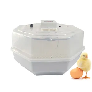 Macaw Parrot Bird Egg Hatching Machine 60 PCS Chicken Eggs Small Home Use Incubator