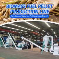 Vente chaude Énergie verte 5tph 10tph Ligne de production de granulés de bois entièrement automatisée à partir de paille de maïs, de tiges de maïs, de bagasse de canne à sucre