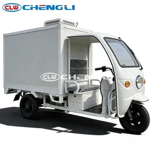 Triciclo Refrigerado CLW, Vehículo de Tres Ruedas para Transporte Refrigerado, Triciclo Eléctrico con Caja de Carga Grande - Product Image 6