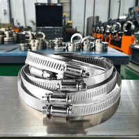 Collier de serrage en acier inoxydable à couple élevé, colliers de serrage métalliques robustes, collier de serrage pour tuyaux, personnalisable OEM, 304/316L, usage industriel