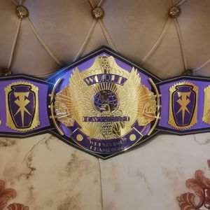 Ceintures de championnat de lutte, trophées, médailles et récompenses - Symbole ultime de la victoire et de l'excellence en cuivre/alliage de cuivre - Product Image 1