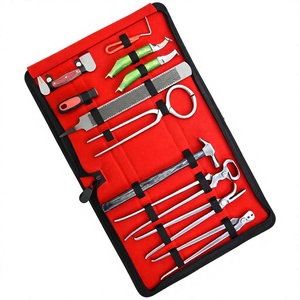 Kit de Herramientas para Herrador de Caballos de 10 Piezas – Cuchillo para Recortar Pezuñas, Pulidor de Pezuñas, Herramienta para Recoger Pezuñas y 3 Alicates para Clavos - Product Image 1