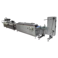 Máquina de Impresión de Serigrafía Automática de Rollo a Rollo JD-3001 para Tejidos Estrechos, Bandas Elásticas