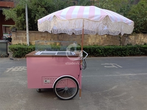 Chariot de vente ambulante compact pour desserts glacés, avec grand espace de rangement, auvent météo, mobile, pour parc, plage, vente de nourriture - Product Image 6