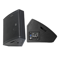 DASN MS12DE 2400W 12 pouces DSP Active Coaxial Woofer Bois Son puissance scène studio Bande DJ Chanteur Moniteur Professionnel Haut-parleurs