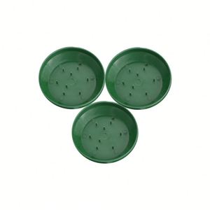 Disques de composition florale en gros pour mariages et cadeaux d'anniversaire, fournitures pour fêtes et festivals, support floral pour fleurs - Product Image 2