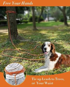 Laisse de dressage de chien en Nylon classique Clips pivotants réfléchissants Laisse longue Durable pour le suivi de rappel pour Camping Backyard Alliage Caoutchouc - Product Image 6