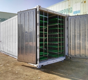 Système de culture en conteneur hydroponique de fourrage et de micro-légumes de 500 kg/jour avec travail automatique, haute productivité, certifié ISO9001 - Product Image 5
