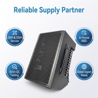 Altavoz Bluetooth para Guitarra Directo de Fábrica con Batería Recargable Integrada para Transmisión en Vivo