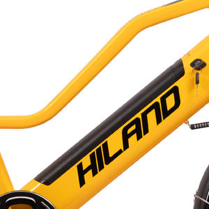 Joykie BIKE E-BIKE - Product Image 5