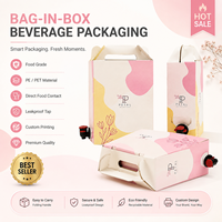 Sac en plastique Bag-in-Box 3L 5L 10L de qualité alimentaire avec valve pour eau potable, vin, jus, lait, bec verseur, imprimé en héliogravure, recyclable