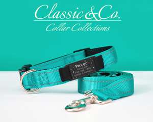 Collar reflectante de color verde azulado para perro, correa personalizada, collar ajustable para gato con cinta personalizada, placa de metal grabada, campana gratuita, diseño único - Product Image 3