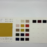 Tissu tissé 100 % polyester épais, respirant, imperméable, antistatique, teint uni, pour vestes et pantalons décontractés – Toucher doux, résistant aux taches