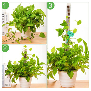 Support <span class=keywords><strong>pour</strong></span> plantes Piquets de croissance en plastique Nid d'abeille Eau de coco Bâtons de mousse <span class=keywords><strong>Colonne</strong></span> d'escalade Plantes d'intérieur Bâtons de mousse - Product Image 4