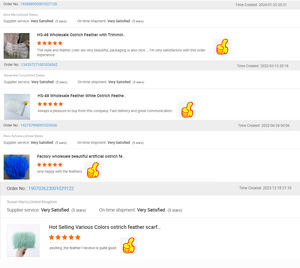 Cinta de Tela para Coser, Flecos de Plumas de Avestruz, Adorno para Manualidades, Ropa, Vestidos, Disfraces, Accesorios para Fiestas, Decoración del Hogar - Product Image 6