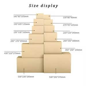 Biểu tượng tùy chỉnh in sóng bao bì có thể tái chế hộp các tông hộp carton vận chuyển di chuyển hộp - Product Image 3