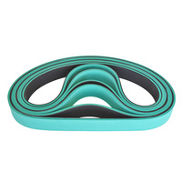 Bande transporteuse plate en nylon verte OEM, sans fin, pour alimentation industrielle – Résistante à l'usure