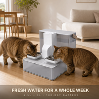 Fontaine à eau intelligente sans fil USMILEPET pour animaux de compagnie, fontaine à boire automatique pour chats et chiens, 5,5 L, design à double bol amovible