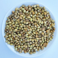 Meilleure qualité très favorable gros granule séché épices de Chine herbes simples graine de coriandre pour cuisinier
