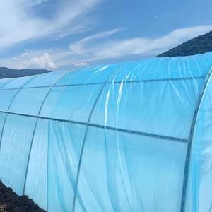 Film anti-âge 6 mil pour couverture de serre tunnel, rouleaux de film plastique LDPE anti-<span class=keywords><strong>goutte</strong></span>/anti-buée 6*80m - Product Image 6