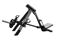 Rocson ROC FITNESS PRIMAL STRENGTH Bolt Design Pro Series Machine à bras inclinée à charge de plaques avec poignée réglable en T en acier, pour entraînement efficace des bras