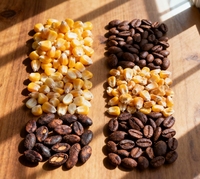 Meilleure vente de séchoir à cacao Mini séchoir à grains pour l'agriculture à petite échelle
