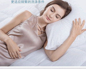 Lông trắng bông gối cho giường từ hilton khách sạn nhà cung cấp pengxuan tùy chỉnh Hilton gối với túi - Product Image 4