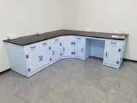 Table de préparation de laboratoire avec pare-éclaboussures |   Planche phénolique résistante aux produits chimiques pour zone de préparation d'échantillons