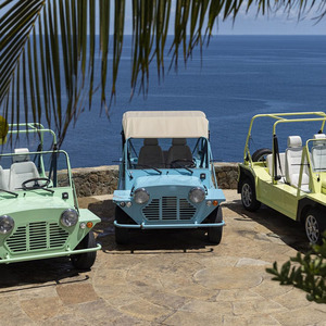 4 personas Mini Moke Jeep batería de gran capacidad 96 <span class=keywords><strong>V</strong></span> 10KW eléctrico Mini Moke coche playa - Product Image 3