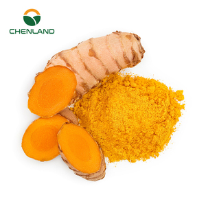 Thực phẩm lớp 100% thực phẩm hữu cơ lớp tự nhiên màu xanh lá cây CURCUMIN NGHỆ chiết xuất bột - Product Image 1