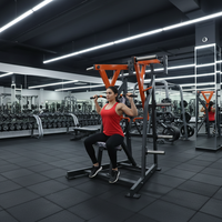 Máquina de remo iso-lateral con carga de placas para gimnasio, equipo comercial para entrenamiento de espalda