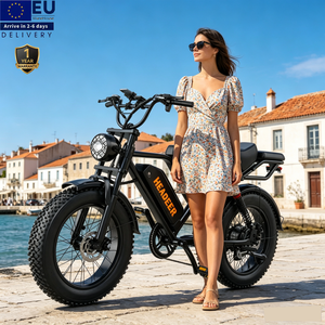 Bicicleta Eléctrica de Montaña de 20 Pulgadas con Llantas Anchas, Precio Económico de Fábrica en la UE, Bicicletas Eléctricas de 250w 750w para Adultos - Product Image 1
