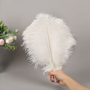 Plumes d'<span class=keywords><strong>autruche</strong></span> colorées plumeuses de 30 à 35cm frappantes pour les mariages à thème, les actes burlesques, les écrans muraux au néon - Product Image 4