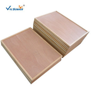 ถาดไม้สำหรับอบแห้งสไลด์ 20 ช่อง, ถาดสำหรับจัดการสไลด์แบบใช้ซ้ำได้, ถาดเก็บสไลด์สำหรับแผนกพยาธิวิทยา - Product Image 1