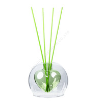 Bouteilles diffuseurs à double paroi en verre borosilicate de 110 ml, design moderne et élégant pour la décoration intérieure