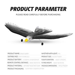 Nouveau planeur FPP en mousse Big Fix Wing, avion télécommandé 2.4G, modèle d'avion RC Black Eagle avec lumières - Product Image 6