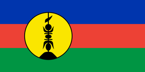 Vendita calda di buona qualità poliestere 3x5 bandiera nazionale Papua nuova Guinea Australia Nauru <span class=keywords><strong>Palau</strong></span> nuova Caledonia bandiera del paese - Product Image 6