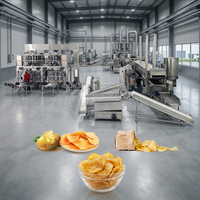 Machine automatique de fabrication de chips de pommes de terre, construction en acier inoxydable SUS304 pour un traitement alimentaire hygiénique, haute capacité