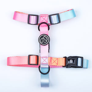 Harnais en <span class=keywords><strong>Nylon</strong></span> en forme de <span class=keywords><strong>H</strong></span>, accessoire haut de gamme, pour chien, Ultra passion, poids, personnalisé - Product Image 3