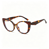 Lunettes anti-lumière bleue rétro SM5216, monture PC unisexe avec accents métalliques dorés