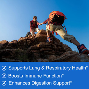 Complément de santé : Gommes de molène 2000 mg – Extrait de molène pour soutenir la santé pulmonaire et respiratoire et stimuler la fonction immunitaire - Product Image 3