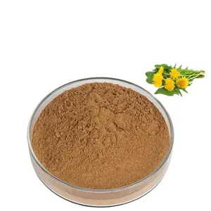Factory Wholesale Herb Dandelion Flavone Powder Dandelion Root Extract