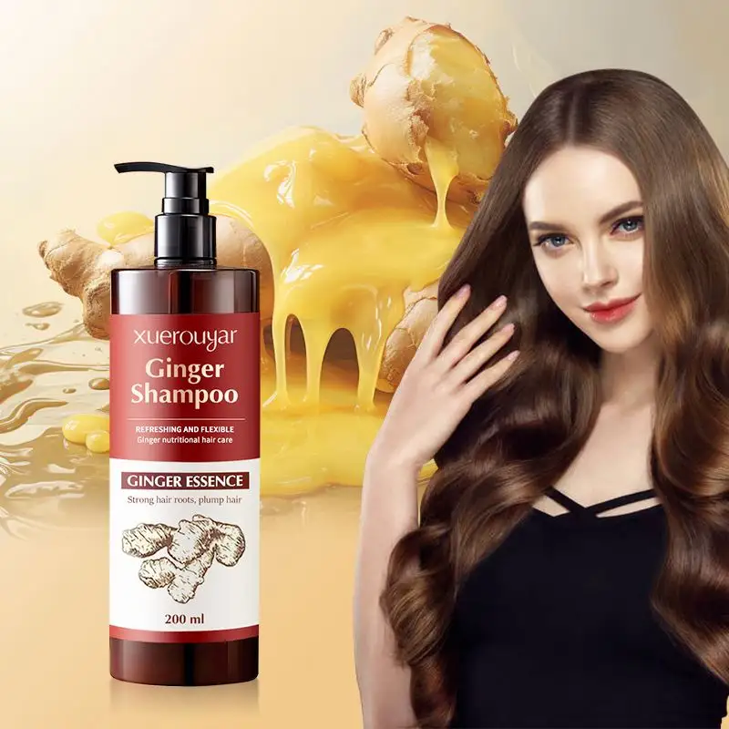Shampooing pour hommes femmes shampooing nourrissant extrait de gingembre anti-pelliculaire soin des cheveux naturels Anti perte de cheveux shampooing au gingembre