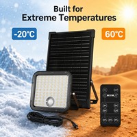 Soluzioni di Illuminazione Solare Commerciale per Progetti Comunali, Appaltatori EPC, Wattaggio Personalizzato, Temperatura Colore, Installazione