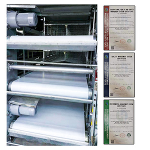 Nouvelles cages à poules pondeuses de haute qualité, type H, pour élevage intensif, avec perchoirs autonettoyants et système de collecte des déjections, pour usage agricole - Product Image 6