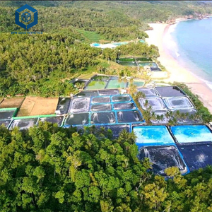 HDPE防水池ライナー排水膜ジオメンブレン池管理用 - Product Image 1